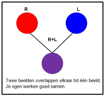 FD esther samenwerkend